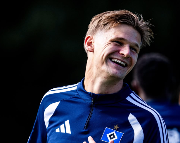 møller wolfe